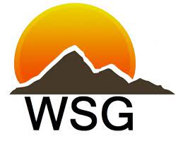 WSG Western Surgical Group logo